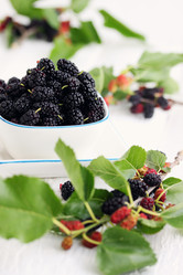 Similar image 2879033