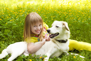 Similar image 2879038