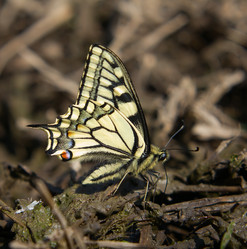 Similar image 2879041