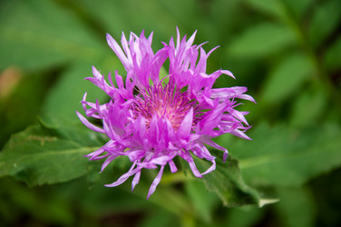 Similar image 2879048