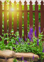 Similar image 2879065