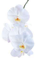 Similar image 2879091