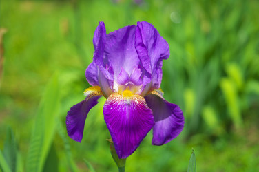 Similar image 2879146