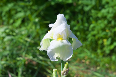 Similar image 2879147