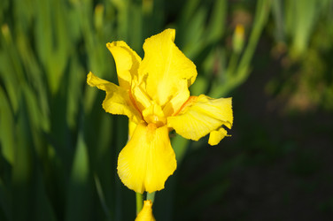 Similar image 2879148