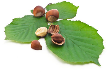 Similar image 2879149