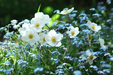 Similar image 2879155