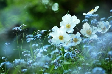 Similar image 2879156