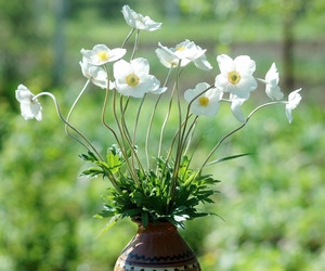 Similar image 2879159