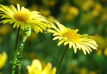 Similar image 2879160