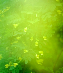 Similar image 2879161