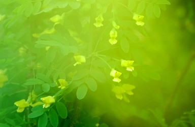 Similar image 2879162