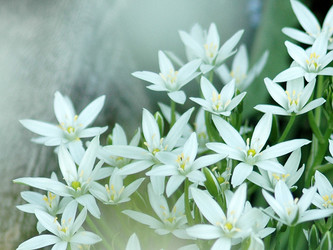 Similar image 2879163