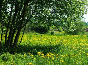 Similar image 2879164