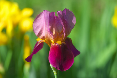 Similar image 2879171