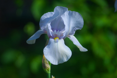 Similar image 2879172