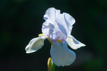 Similar image 2879173