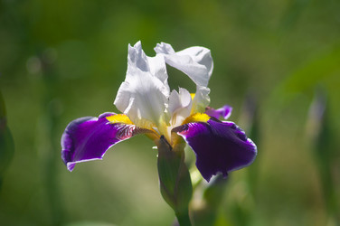 Similar image 2879174