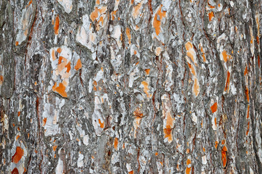 Similar image 2879219