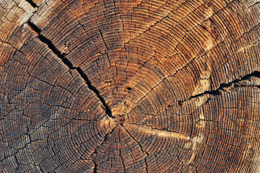 Similar image 2879226