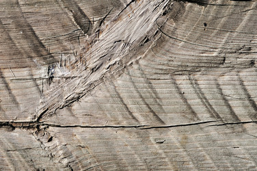 Similar image 2879236