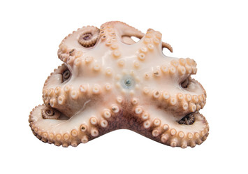 Similar image 2879372