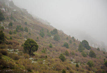 Similar image 2879396