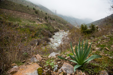 Similar image 2879398