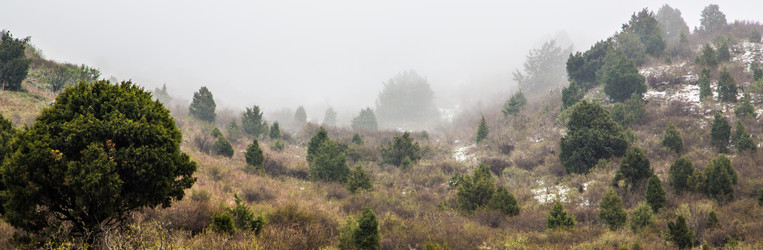 Similar image 2879399