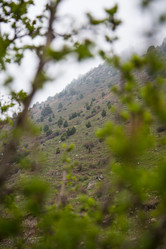 Similar image 2879401