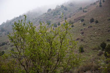 Similar image 2879402