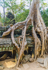 Similar image 2879431