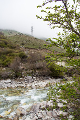 Similar image 2879437