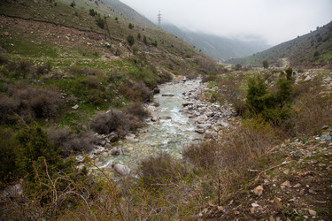 Similar image 2879438