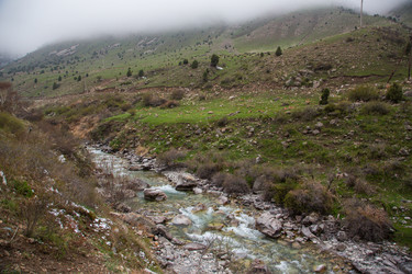 Similar image 2879439