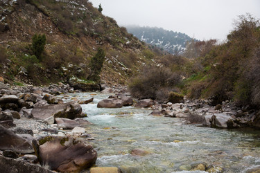 Similar image 2879441