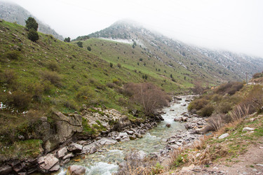 Similar image 2879442