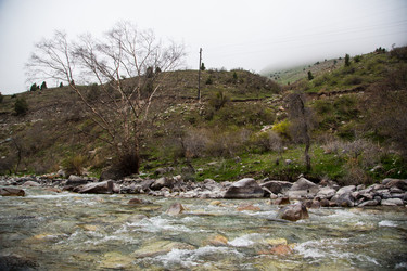 Similar image 2879444