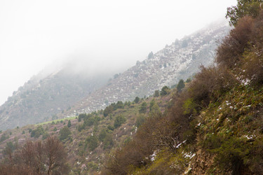 Similar image 2879447