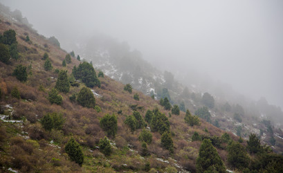 Similar image 2879451