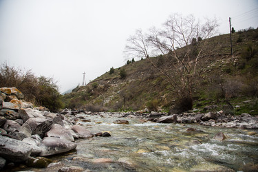 Similar image 2879453