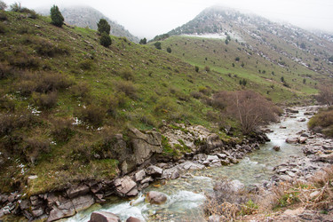 Similar image 2879454