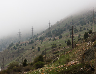 Similar image 2879468