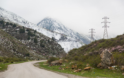 Similar image 2879474