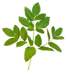 Similar image 2879576