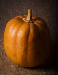 Similar image 2879578