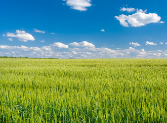 Similar image 2879604