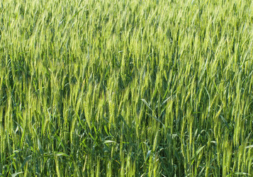 Similar image 2879605