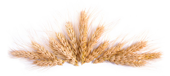 Similar image 2879606