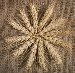 Similar image 2879607